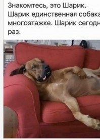 Анастасия