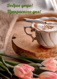 Альбина