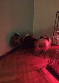 Любимая