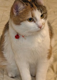ЛЮБАНЯ