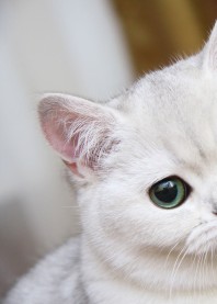 Ульяна