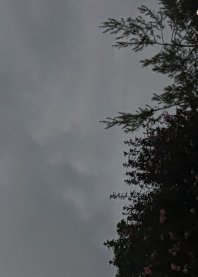 Милана