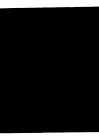 Вика